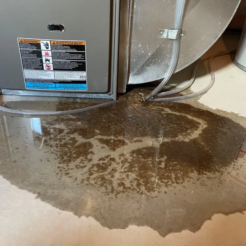 Appliance Leak Cleanup in Knox County, IN